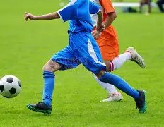 费尔南德斯,逆风逆转,红军客场告,bet365,bet365体育,bet365官网,bet365网址