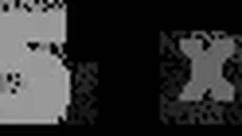 【独家爆料】奥尼尔隐退在即，狼队主帅悬念揭晓：滕哈格与科林斯领衔热门人选！