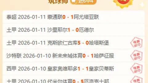 《揭秘国安洋将法比奥：探寻归化国足之路的幕后咨询》