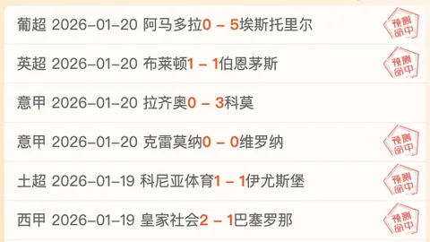 2025年粮食增长攻略：核心四大要素解析