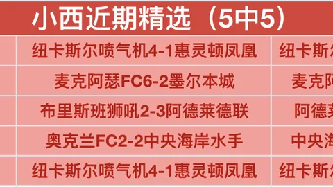 宁波男篮签下2米01全能锋线诺瓦，CBA征程展望几何？